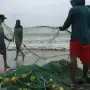 Por causa de “El Niño”, se vacían las redes de los pescadores en el Pacífico