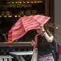 Primavera diferente en Argentina: el SMN anticipa más lluvias y menos días de calor extremo