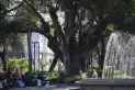 El tiempo en Tucumán: máxima de 26°C para este sábado y alerta por tormentas aisladas