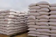 Evalúan cambios en la Ley de Semillas