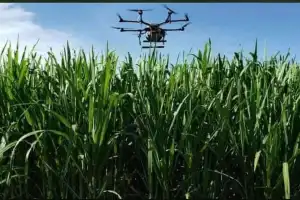 Los drones agrícolas crecen con fuerza en Tucumán y en el NOA