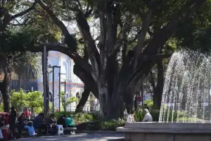 El tiempo en Tucumán: máxima de 26°C para este sábado y alerta por tormentas aisladas