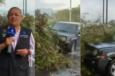 Video: una camioneta atropelló a una reportera y a un camarógrafo en plena transmisión en México