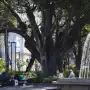 El tiempo en Tucumán: máxima de 26°C para este sábado y alerta por tormentas aisladas