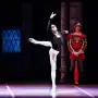 El Ballet Estable se despide de “El Lago de los Cisnes”