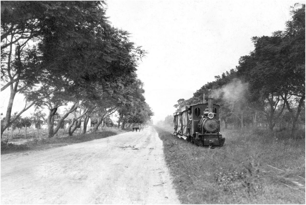 ANTES DEL PAVIMENTO. La foto de Lanio muestra el trencito por la acera norte.