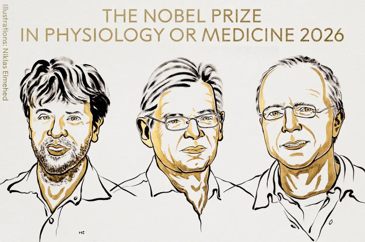 Nobel de Medicina 2026 para los creadores de la optogenética: el interruptor de luz que permite manipular neuronas