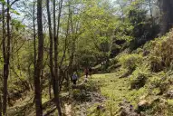 El paraíso escondido de Tucumán: bosques, cascadas y senderos a poco minutos de la ciudad