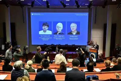 Nobel de Medicina: cómo es la técnica que permite controlar las neuronas con luz