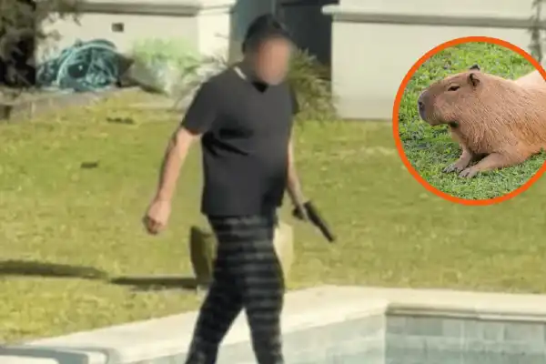 Nordelta: un hombre le disparó a cinco carpinchos