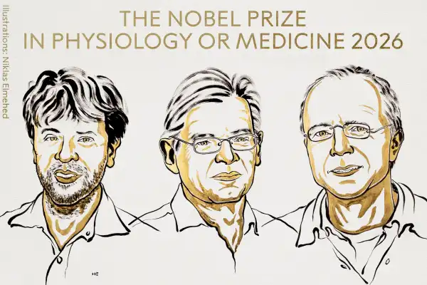 Nobel de Medicina 2026 para los creadores de la optogenética: el interruptor de luz que permite manipular neuronas