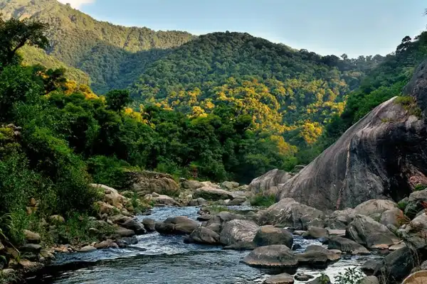 El paraíso escondido de Tucumán: bosques, cascadas y senderos a poco minutos de la ciudad
