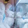 Qué es la peste neumónica: síntomas, contagio y riesgos de la infección que alertó a Rusia