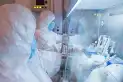 Peste neumónica: la OMS pide información a Rusia por la muerte de una trabajadora por un posible caso