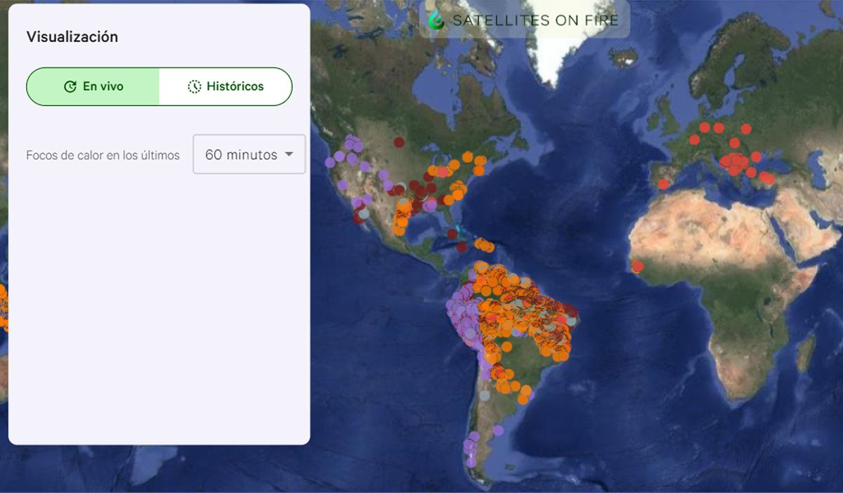 Incendios forestales: son argentinos y a los 16 años crearon una página que ya ayuda a 19 países