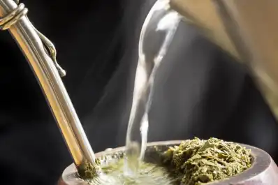 ¿El mate fortalece los huesos? El sorprendente hallazgo de científicos argentinos