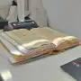 El viaje de los documentos del Archivo Histórico de Tucumán hacia la nube