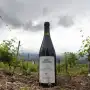 Entre toros de élite y una casona neocolonial, una loma inútil de Choromoro dio origen a un vino que no tiene precio