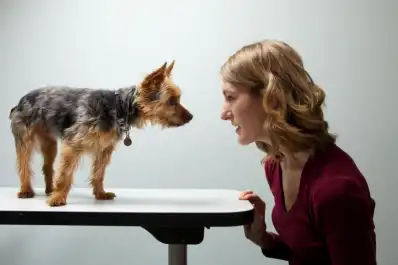 La interpretación de las emociones caninas está distorsionada por lo que piensa el humano