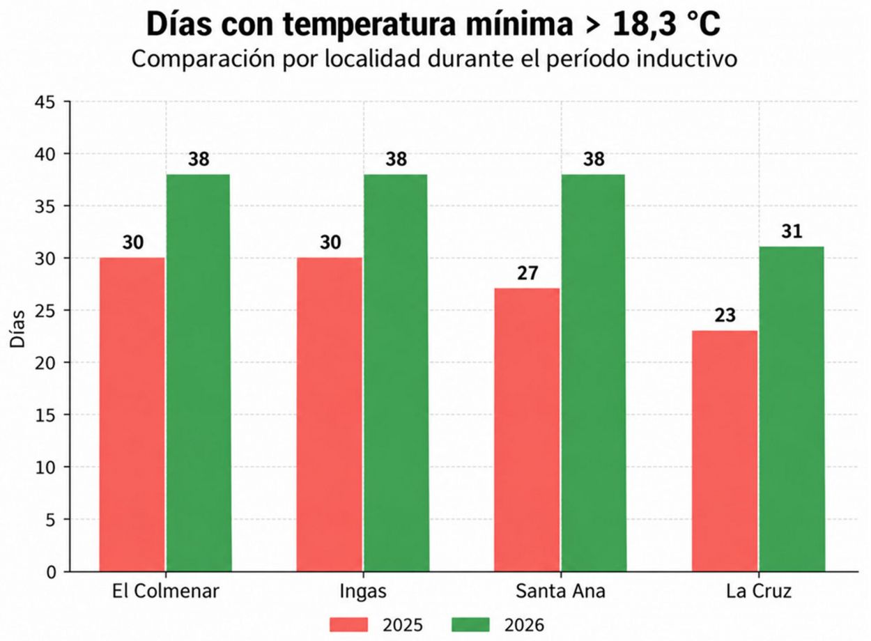 La floración en cañaverales tucumanos responde a la coincidencia de varias condiciones ambientales
