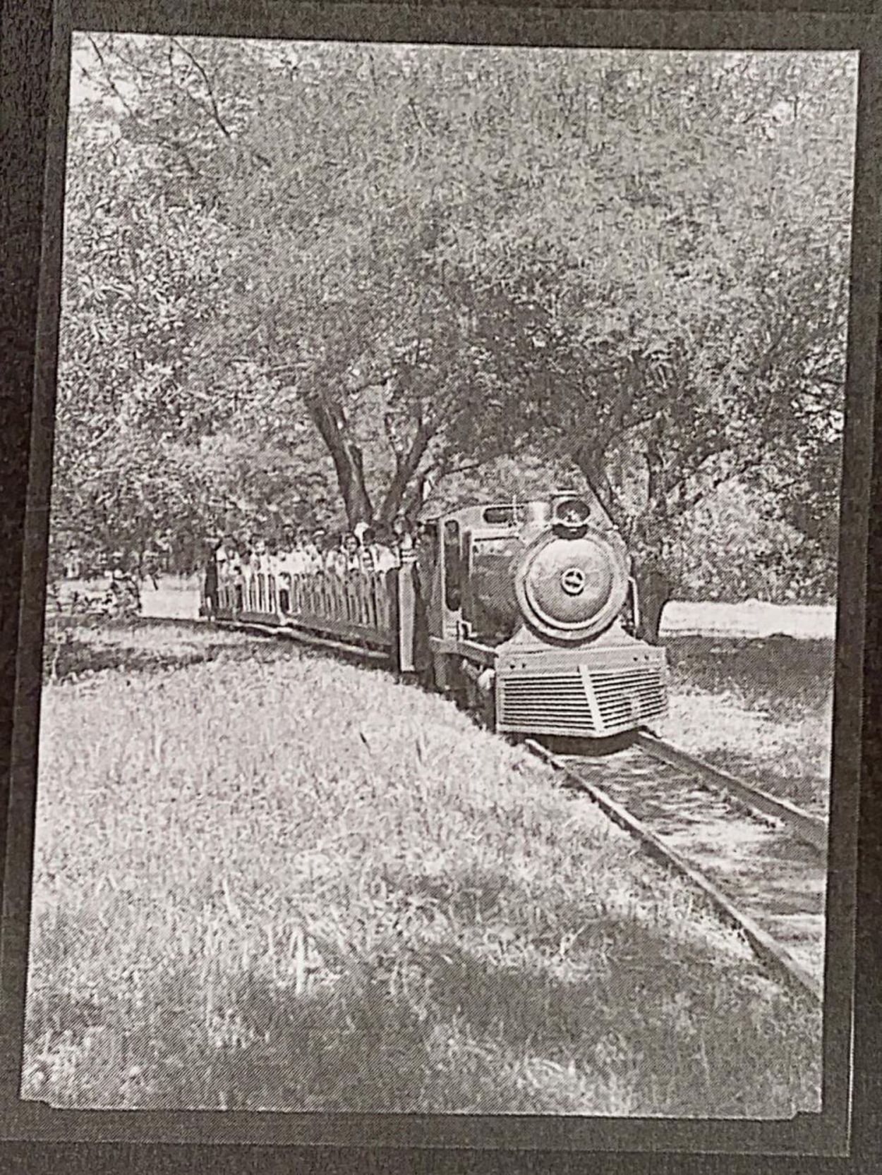 Recuerdos fotográficos: el trencito del parque, ilusión de un viaje para los niños, diversión para los grandes