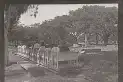 Recuerdos fotográficos: el trencito del parque, ilusión de un viaje para los niños, diversión para los grandes