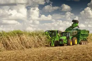 El actual escenario vuelve prioritario que se avance con la cosecha de caña