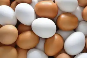 Huevo: un récord sujeto a la sanidad avícola