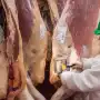 Sector bovino: de enero a septiembre se faenó un millón de animales menos interanual