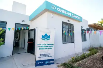 Un niño de cuatro años murió tras ser atacado por un pitbull en Moreno y su madrina quedó imputada