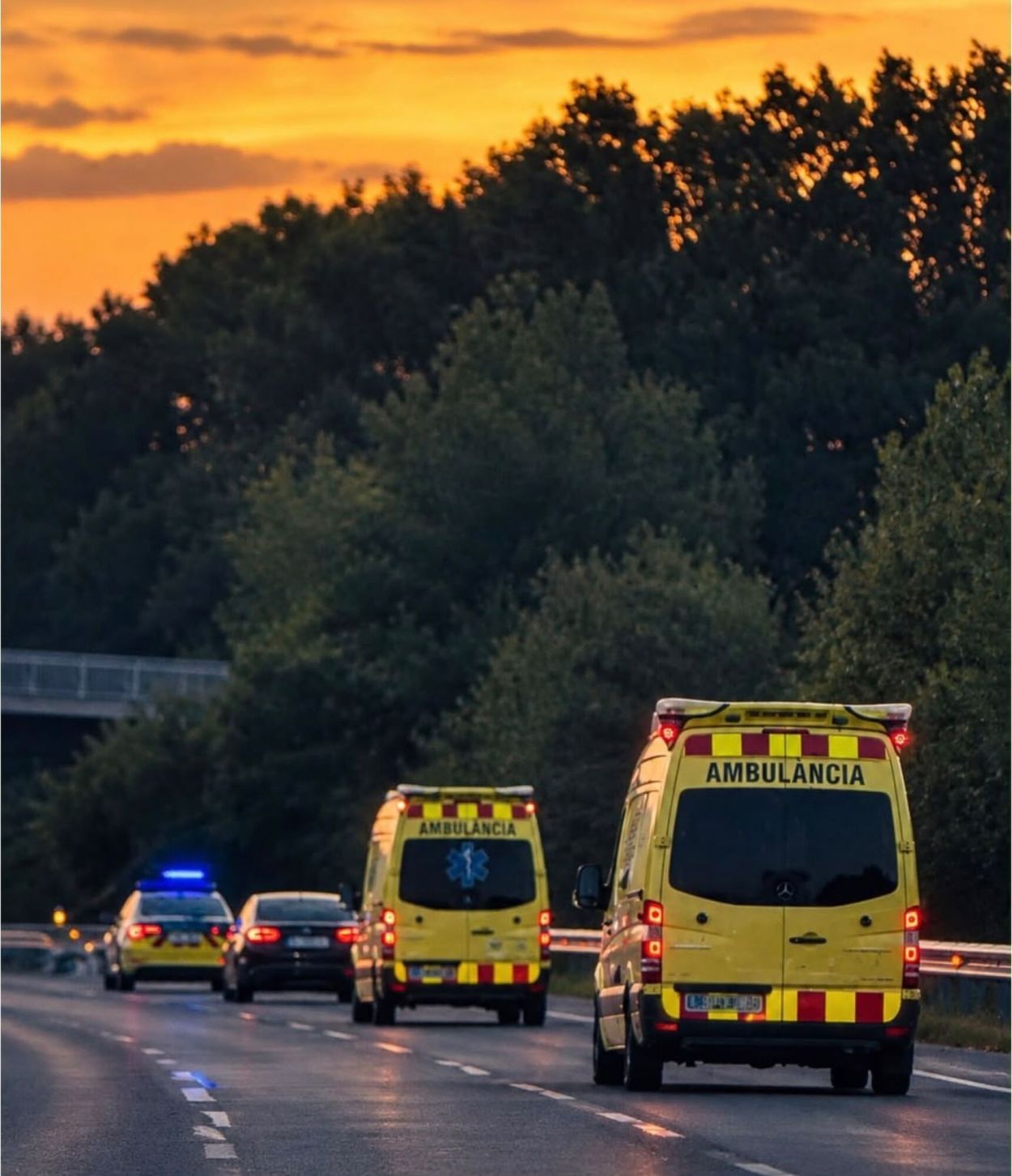 VIAJE. Las ambulancias donadas recorrieron más de 3.000 kilómetros.