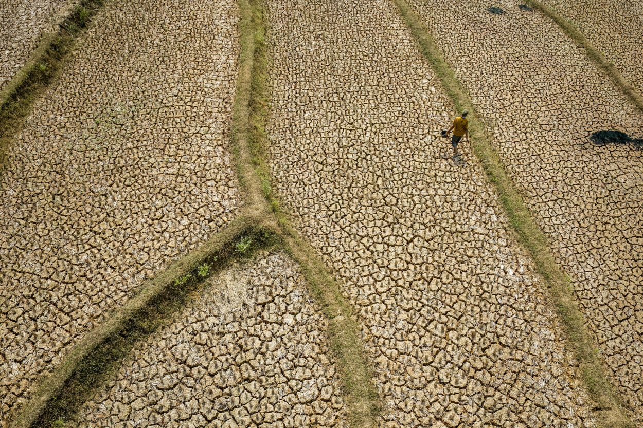 Sequías, inundaciones, incendios y falta de alimentos: el impacto del “Súper Niño” en el mundo
