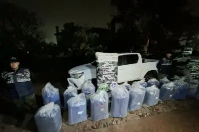 Luego de tiros, choques y una fuga se secuestraron 1.200 kilos de hojas de coca en Tucumán