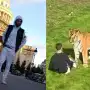 Quién era William Chapman, el actor británico que murió tras ser atacado por un tigre