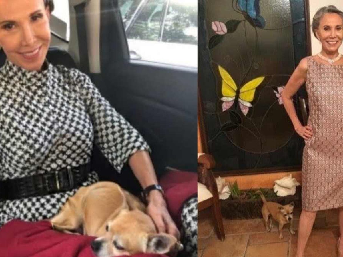 Muere Bruno, el perro que mantenía unido el recuerdo de Florinda Meza y Chespirito