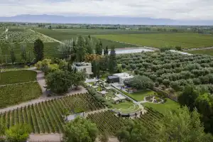 Historia, manjares y vinos: los secretos de El Paraíso, donde el tiempo parece detenerse