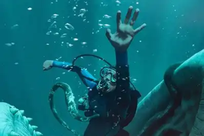“La caída de la ballena” es una película de supervivencia en el interior de un cachalote