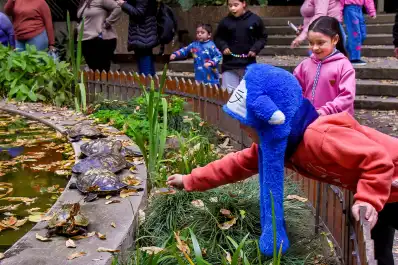 Actividades gratuitas en San Miguel de Tucumán para el fin de semana