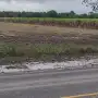 La zafra azucarera en Tucumán podría extenderse hasta fines de noviembre por las lluvias