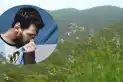 Cómo es la Salvia messii, la planta que lleva el nombre de Lionel Messi y está en peligro de extinción