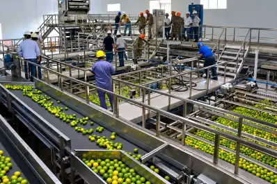 Ledesma abrió una vacante full time para egresados de carreras agronómicas