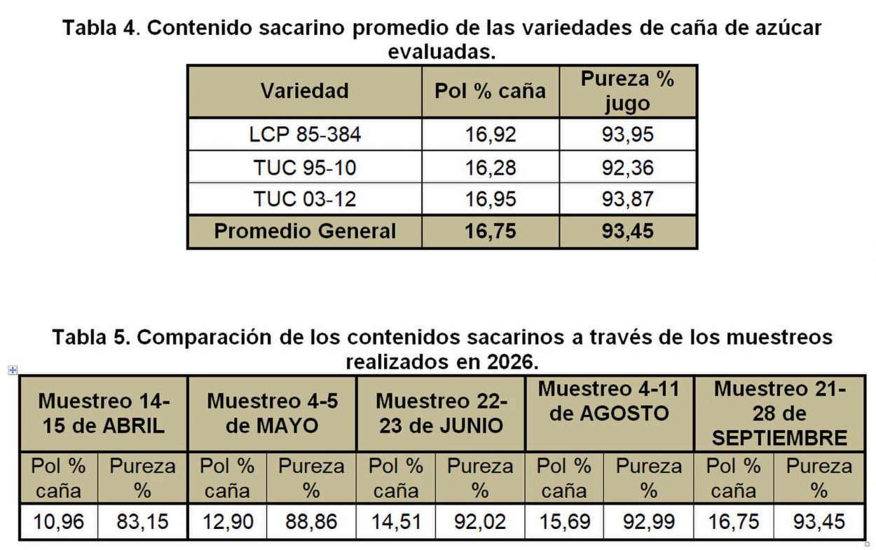 Maduración de la caña: 2026 supera la media de las últimas zafras