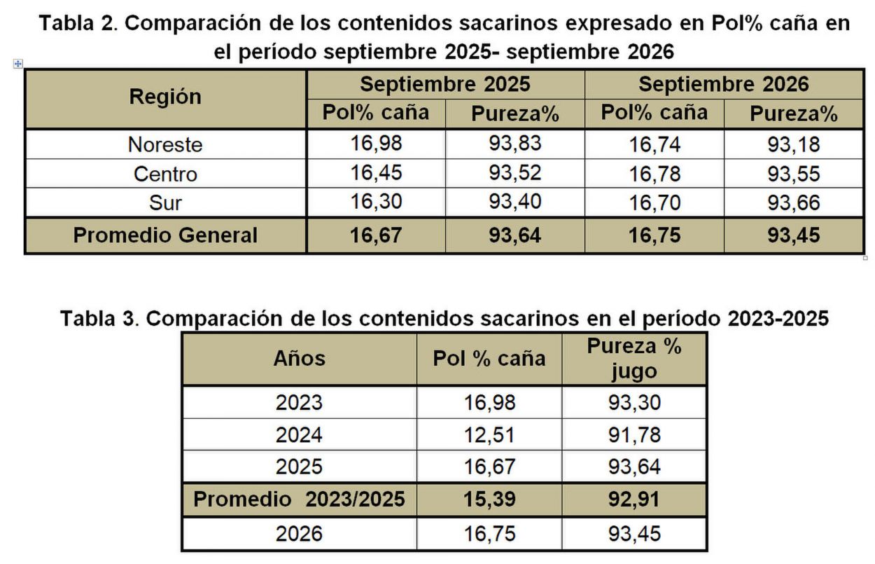 La maduración de la caña avanza con buena evolución en todas las regiones de la provincia