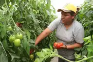 El rol fundamental de la mujer en el campo