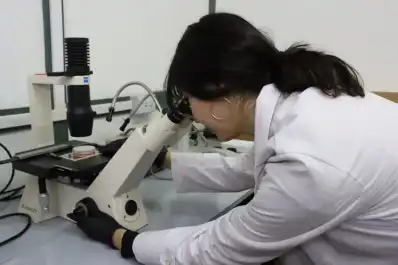 Crean un modelo para evaluar daños en la parición de bovinos