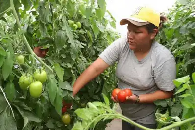 El rol fundamental de la mujer en el campo