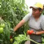 El rol fundamental de la mujer en el campo