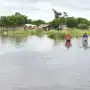 Inundaciones: entre nuevos debates y viejas herramientas olvidadas