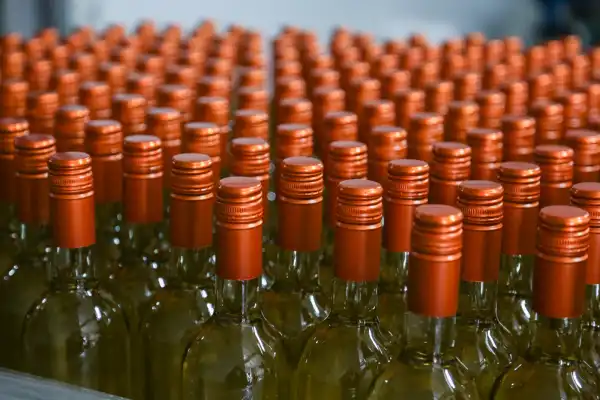 Las exportaciones vitivinícolas argentinas crecieron 24% en septiembre, según Agricultura