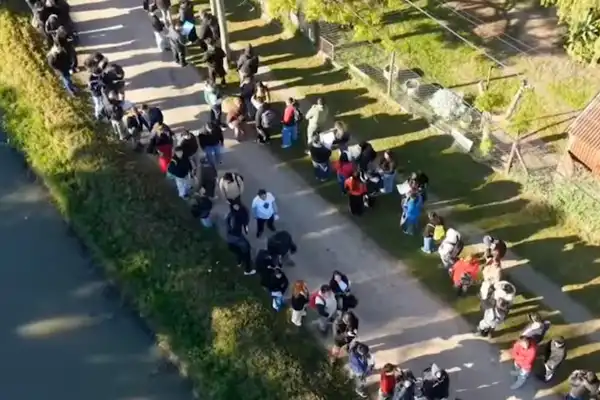 Buscaban 40 trabajadores y se formó una fila de un kilómetro: la postal de la crisis del empleo